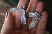 Image 1 of Orecchini con vere samare di acero argentate