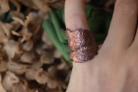Image 1 of Anello con vera foglia di rovo elettroformata in rame e patina ossidata, taglia 10