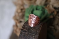 Image 3 of Anello con vera foglia di rovo elettroformata in rame e patina leggermente ossidata, taglia 13