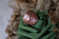 Image 1 of Anello con vera foglia di rovo elettroformata in rame e patina leggermente ossidata, taglia 13