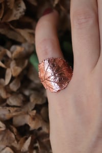 Image 2 of Anello con vera foglia di rovo elettroformata in rame e patina leggermente ossidata, taglia 13 n.2