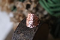 Image 1 of Anello con vera foglia di rovo elettroformata in rame e patina leggermente ossidata, taglia 13 n.2