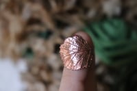 Image 3 of Anello con vera foglia di rovo elettroformata in rame e patina leggermente ossidata, taglia 13 n.2
