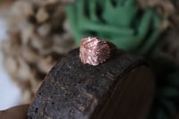 Image 2 of Anello con piccola foglia di rovo elettroformata in rame e patina leggermente ossidata, taglia 8