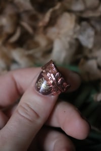 Image 2 of Anello con vera felce elettroformata in rame e finitura lucida, taglia 14