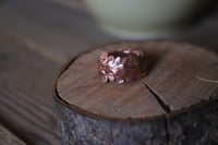 Image 3 of Anello con vera felce elettroformata in rame e finitura lucida, taglia 14