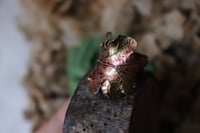 Image 2 of Anello con vera foglia di quercia elettroformata in rame e patina dipinta autunnale, taglia 18