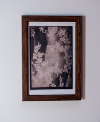 Image 1 of Vale's dress lace