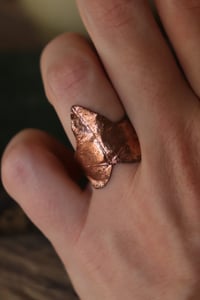 Image 2 of Anello con vera foglia di edera elettroformata in rame con finitura leggermente ossidata, taglia 12