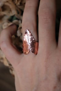 Image 2 of Anello con vera foglia di edera elettroformata in rame con finitura lucida, taglia 12 