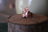 Image 2 of Anello con vera foglia di edera elettroformata in rame leggermente ossidato, taglia 10