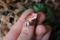 Image 3 of Anello con vera foglia di edera elettroformata in rame leggermente ossidato, taglia 10