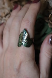 Image 1 of Anello con vera foglia di edera elettroformata in rame e patina verde, taglia 19