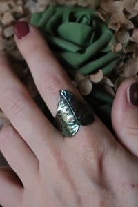 Image 2 of Anello con vera foglia di edera elettroformata in rame e patina verde, taglia 19