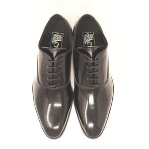 Image of Aspen - Patent Black