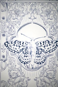 Image 5 of Papillon carte postale/butterfly postcard