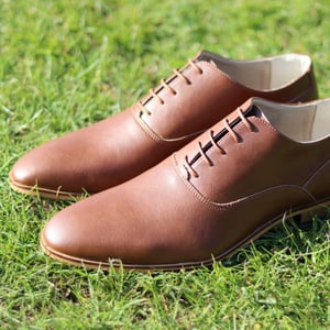 Image of Aspen - Chestnut