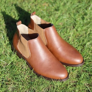 Image of Birch - Chestnut