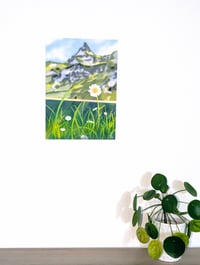 Image 3 of Daisy