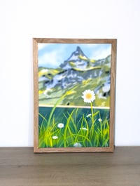 Image 4 of Daisy