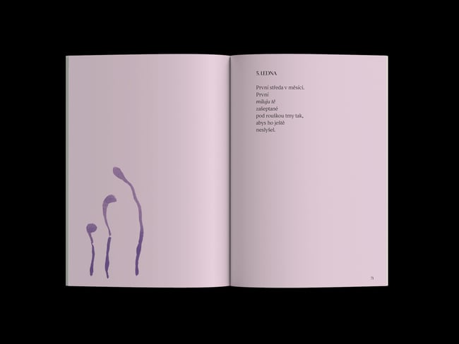 Ptám se po světle – Kateřina Marie Tichá