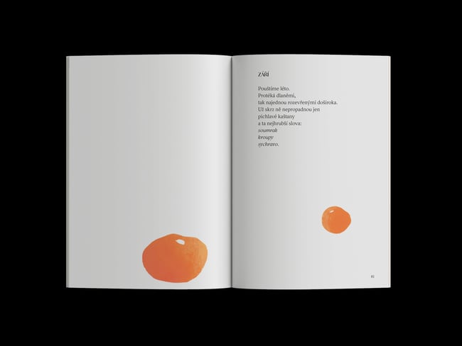 Ptám se po světle – Kateřina Marie Tichá