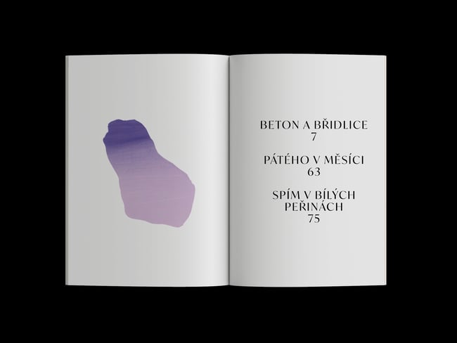 Ptám se po světle – Kateřina Marie Tichá