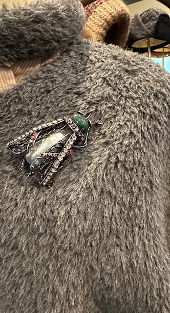 Image of Beetle and Turtle Brooches!