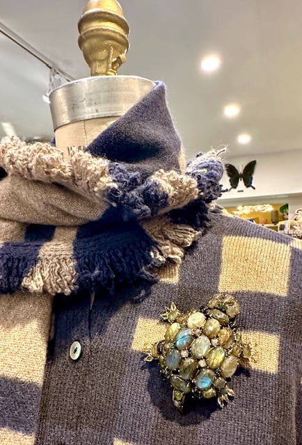 Image of Beetle and Turtle Brooches!