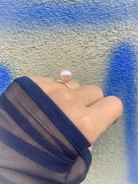 Image 5 of GRANDE PERLA 💦