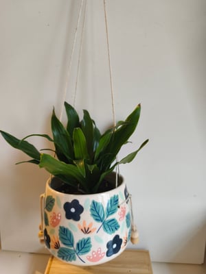 Image of    Pot suspendu petite fleur bleue 