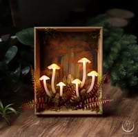 Image 1 of Glowing Fungi autumn forest window