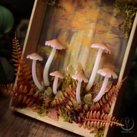 Image 4 of Glowing Fungi autumn forest window