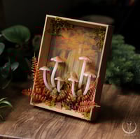 Image 3 of Glowing Fungi autumn forest window