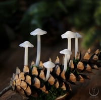 Image 4 of Glowing Fungi pine cone decor - large