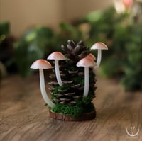Image 5 of Glowing Fungi pine cone decor