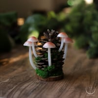 Image 3 of Glowing Fungi pine cone decor