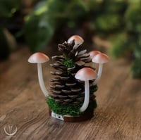 Image 6 of Glowing Fungi pine cone decor