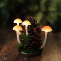 Image 2 of Glowing Fungi pine cone decor