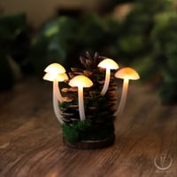 Image 1 of Glowing Fungi pine cone decor