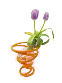 Image 1 of Flora Flask