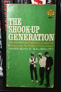 THE SHOOK-UP GENERATION - PULP PB