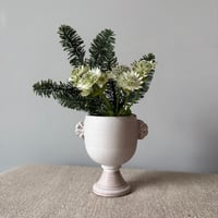 Image 2 of Small Buff Cup