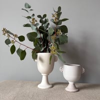 Image 3 of Small Buff Cup