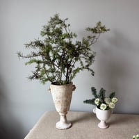 Image 1 of Small Buff Cup