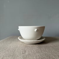 Image 2 of SALE Plant Pot And Tray