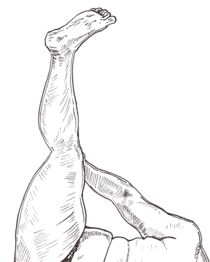 Image of  Kotoeiho's shiko A4 ink drawing