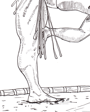 Image of  Kotoeiho's shiko A4 ink drawing