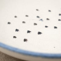 Image 3 of Forest Bike Ride Serving Bowl