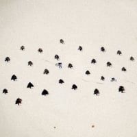 Image 5 of Forest Bike Ride Serving Bowl